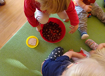 Kastanienzeit in der Krippe der Gorbitzer Früchtchen